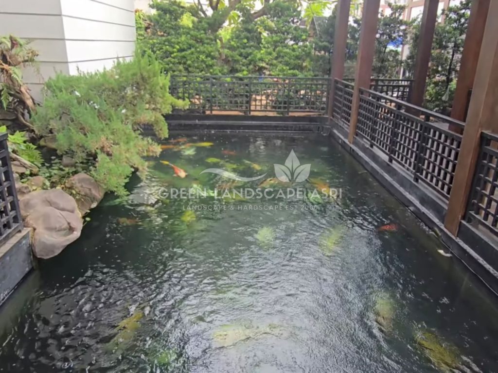 Tukang Kolam Koi