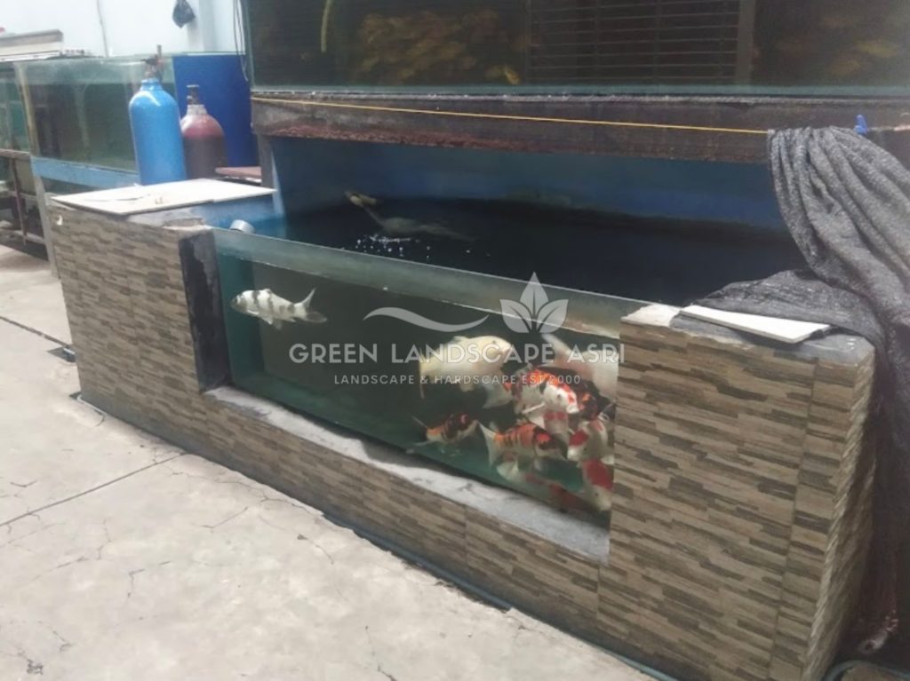 Jasa Pembuatan Kolam Ikan Minimalis