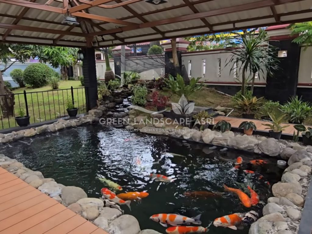 Tukang Kolam Koi