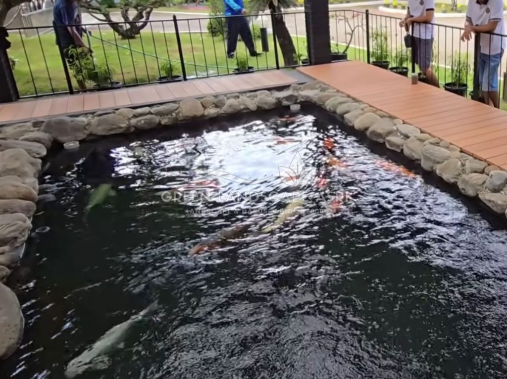 Tukang Kolam Koi