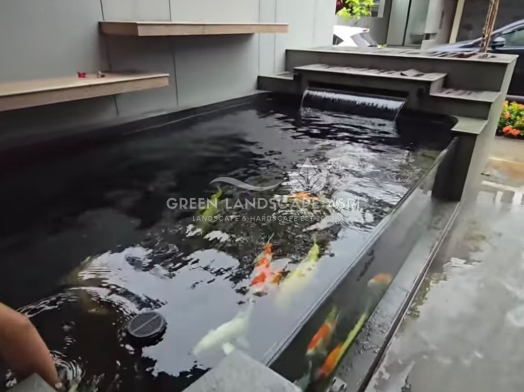 Tukang Kolam Koi