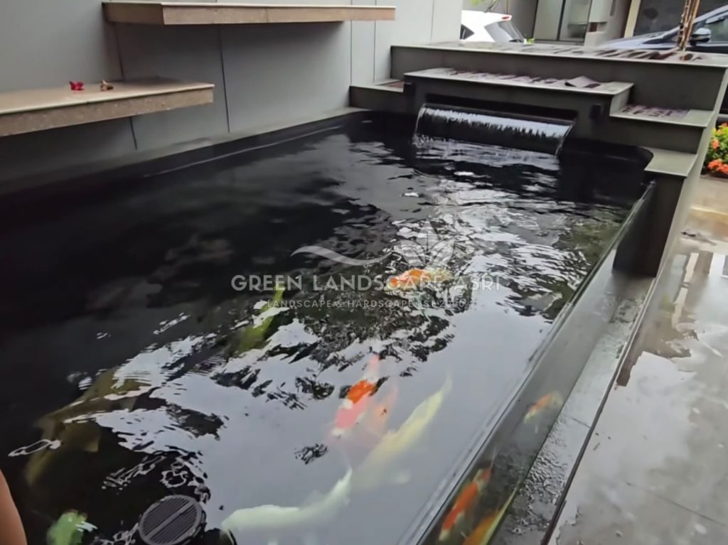 Tukang Kolam Koi