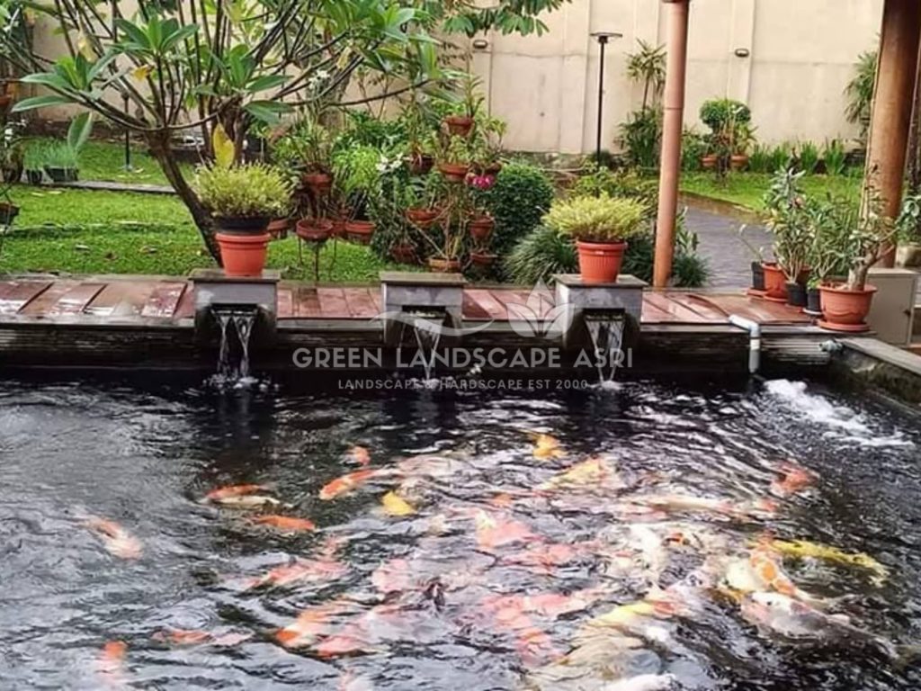 Jasa Kolam Ikan Koi