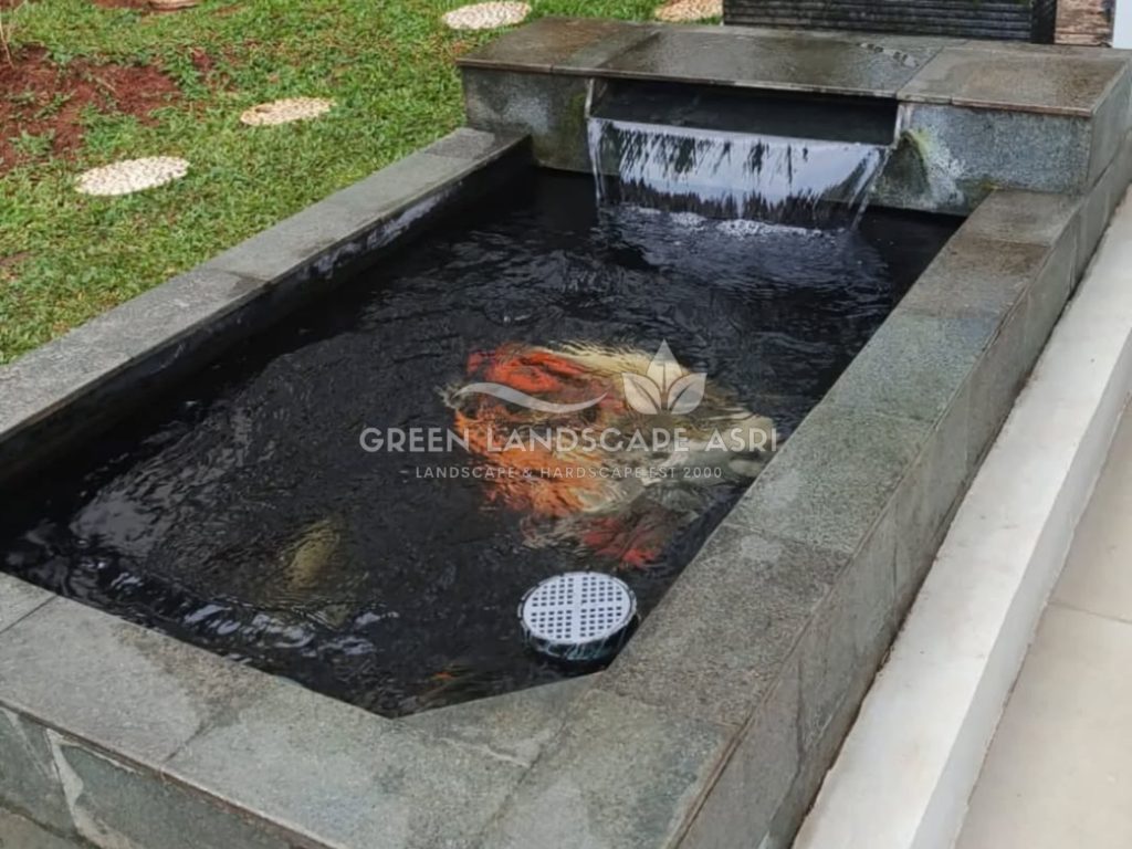 Jasa Kolam Ikan Koi