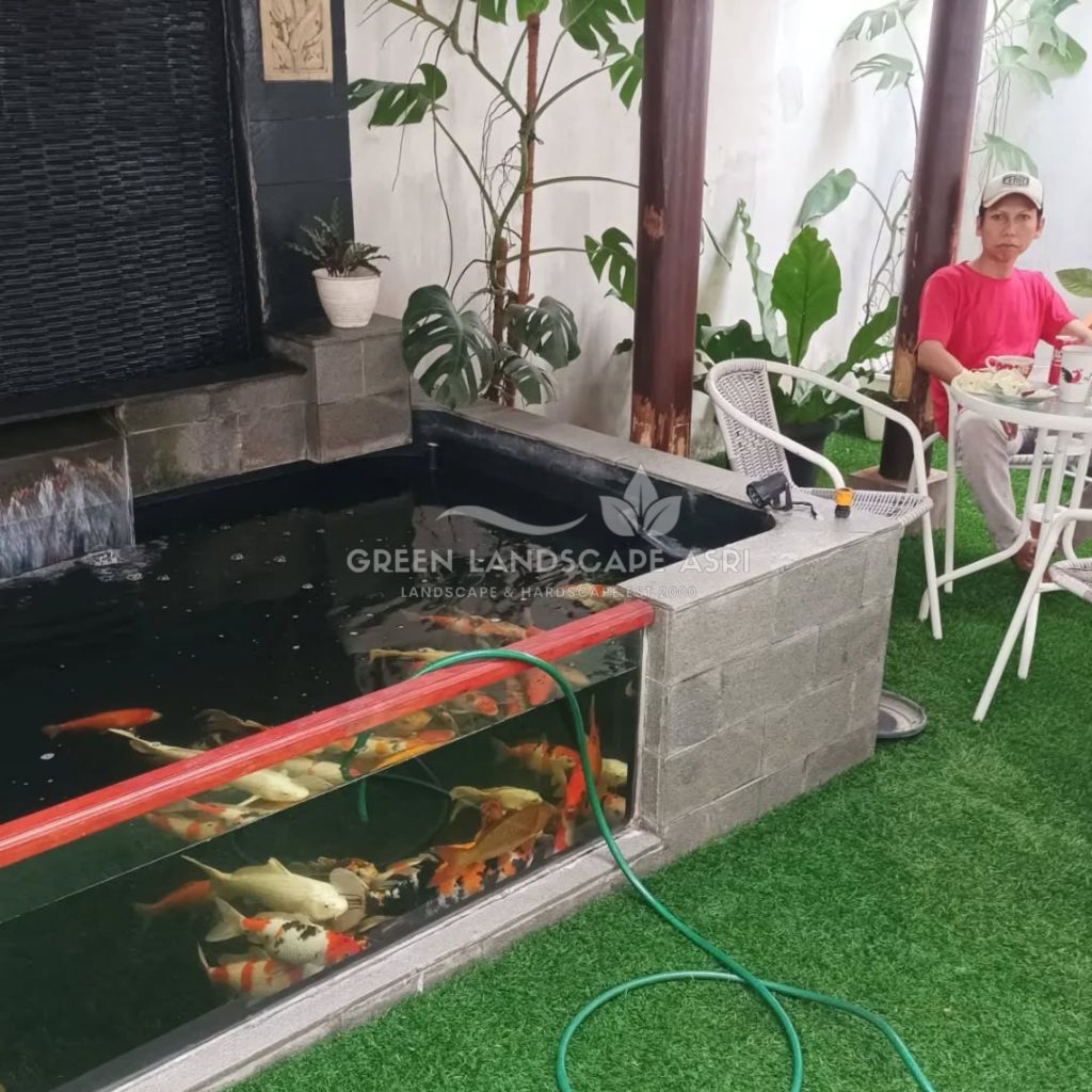 Jasa Kolam Ikan Koi