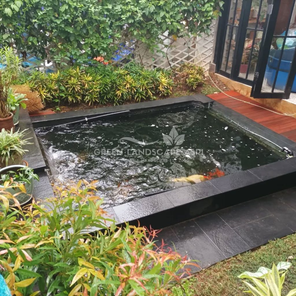 Jasa Tukang Kolam Ikan Minimalis