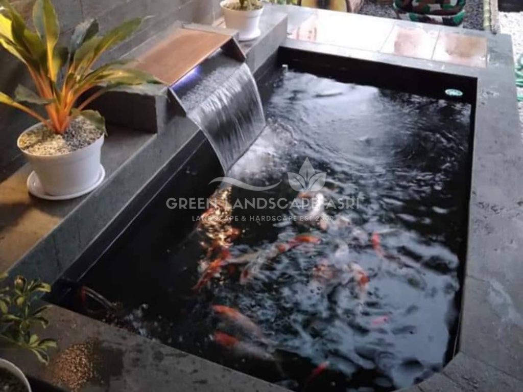 Jasa Tukang Kolam Ikan Minimalis