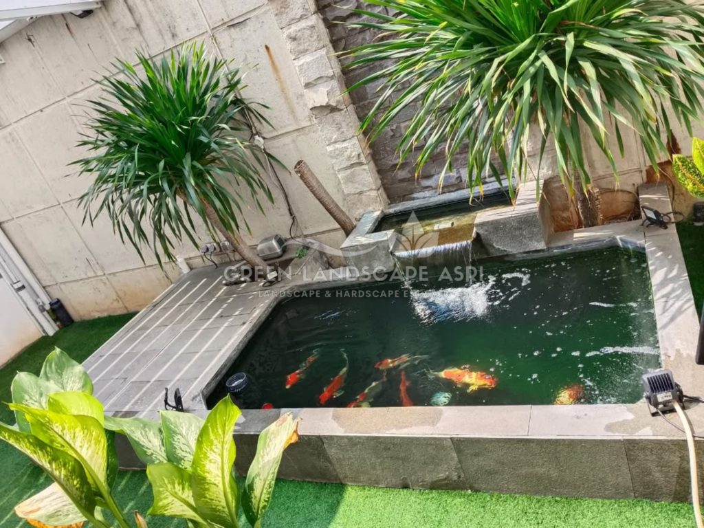 Jasa Tukang Kolam Ikan Minimalis