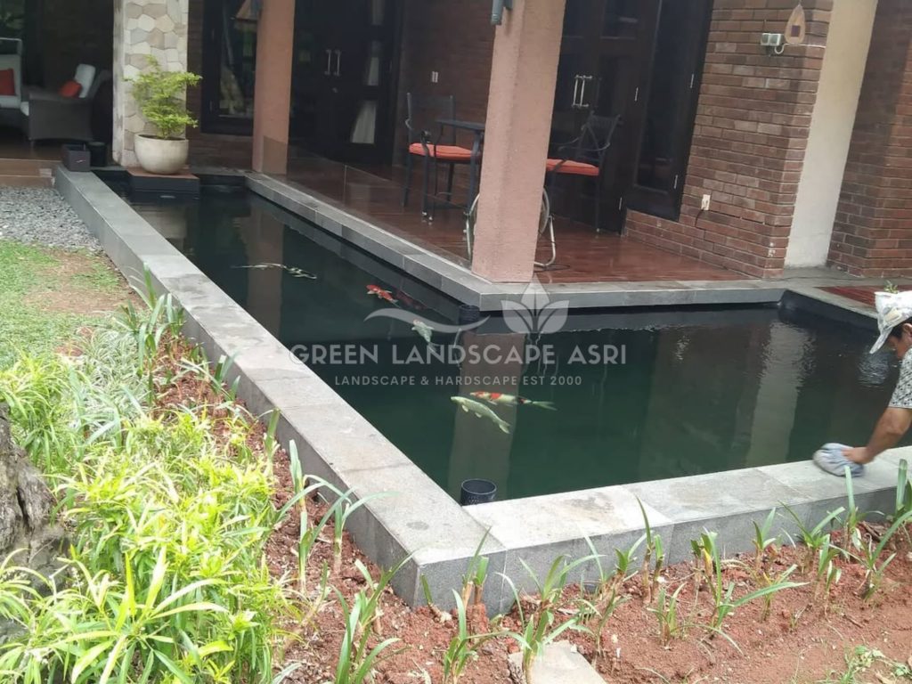 Jasa Tukang Kolam Ikan Minimalis