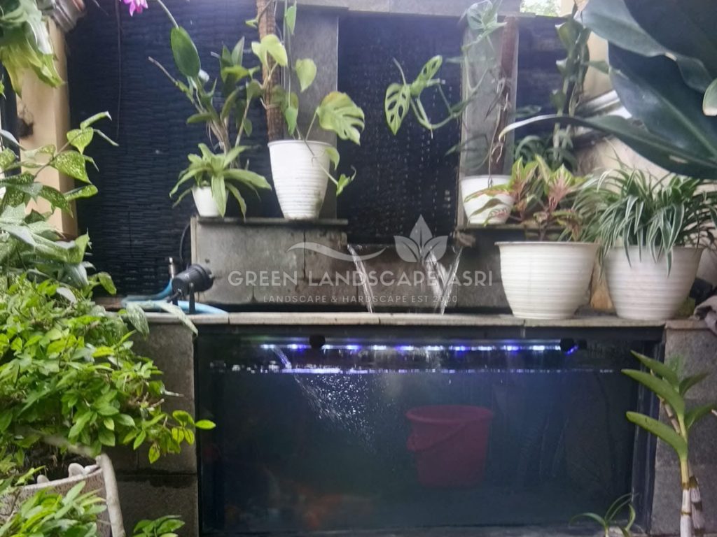 Jasa Tukang Kolam Ikan Minimalis