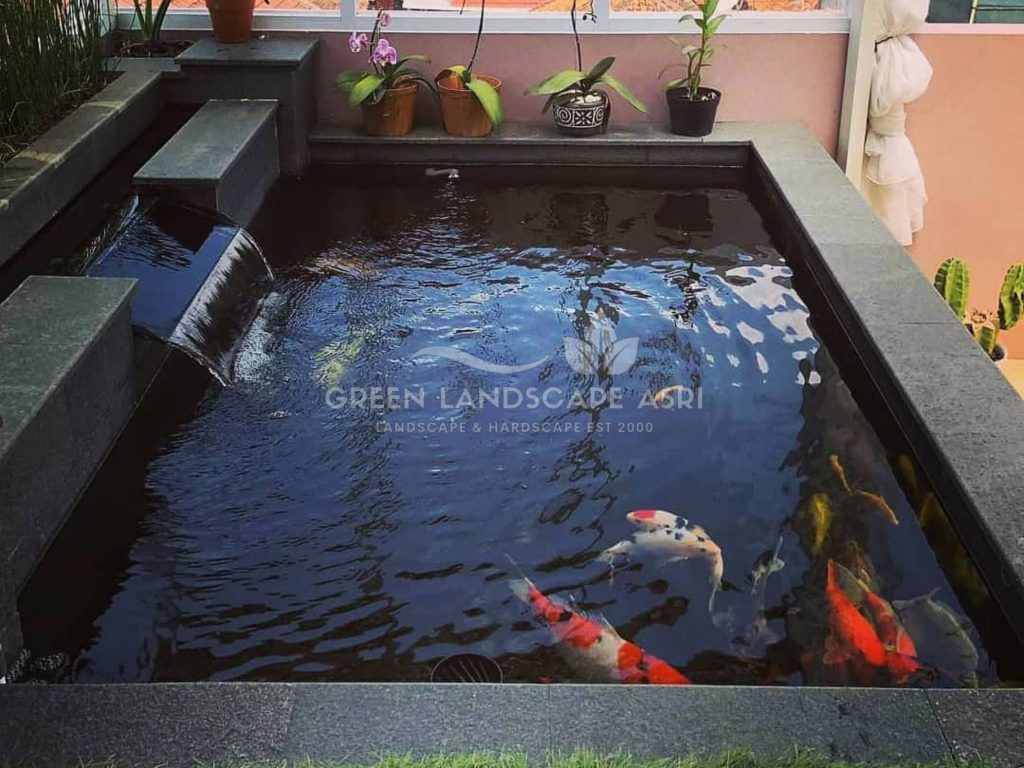 Jasa Kolam Ikan