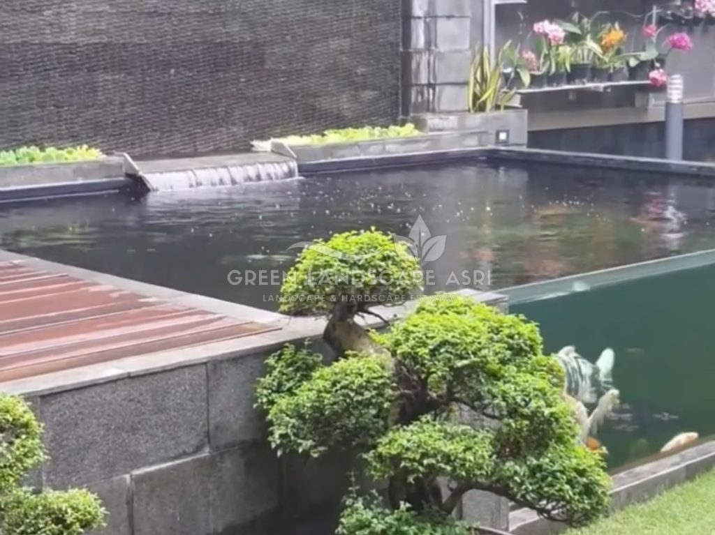 Jasa Kolam Ikan