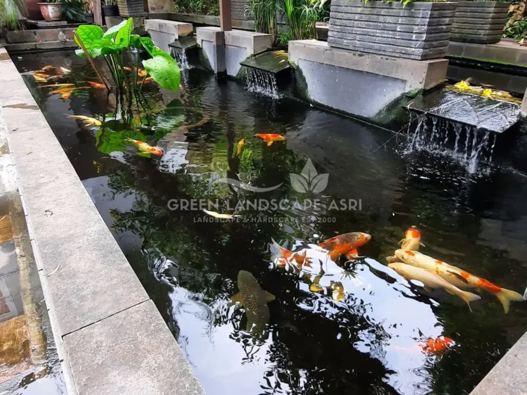 Jasa Kolam Ikan