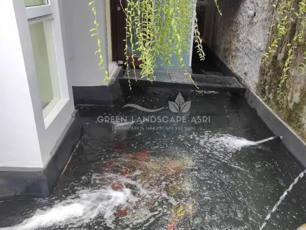 Jasa Kolam Koi Minimalis