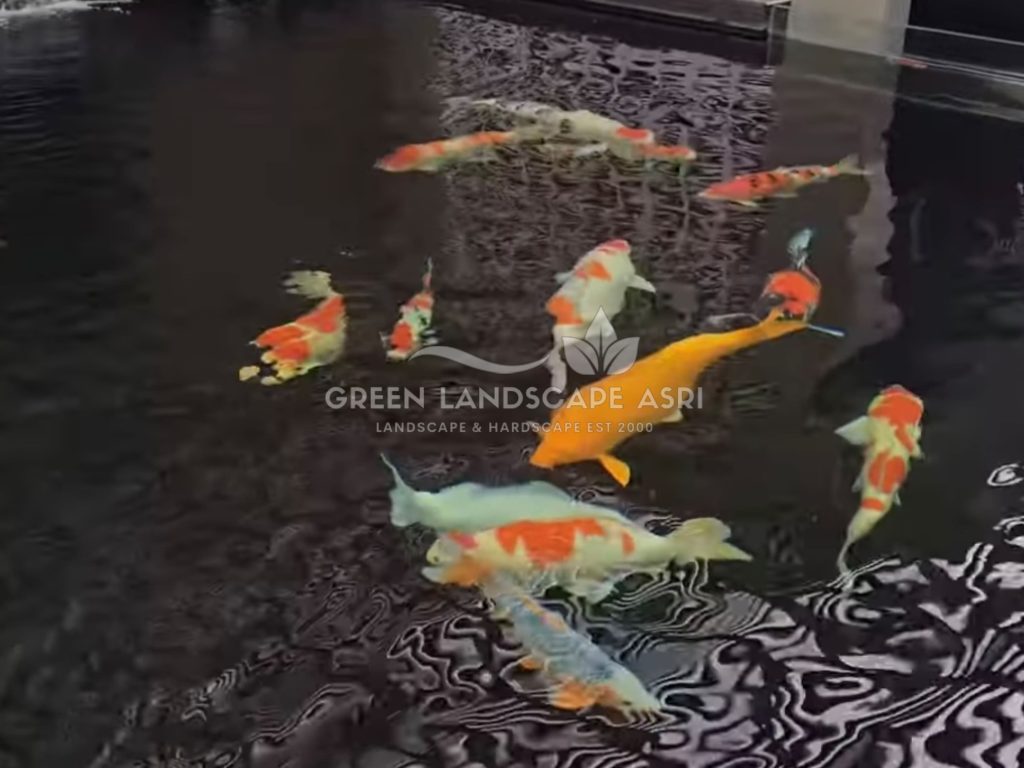 Jasa Pembuatan Kolam Koi