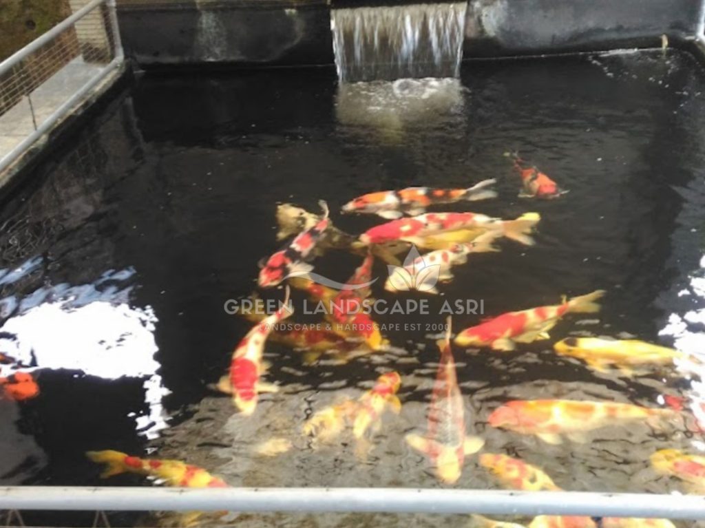 Jasa Pembuatan Kolam Minimalis