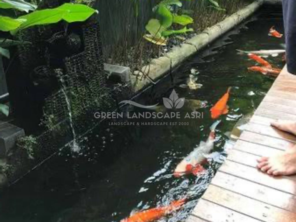 Jasa Pembuatan Kolam Minimalis