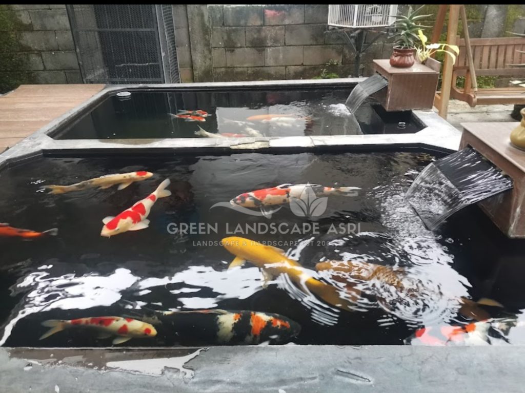 Jasa Pembuatan Kolam Minimalis