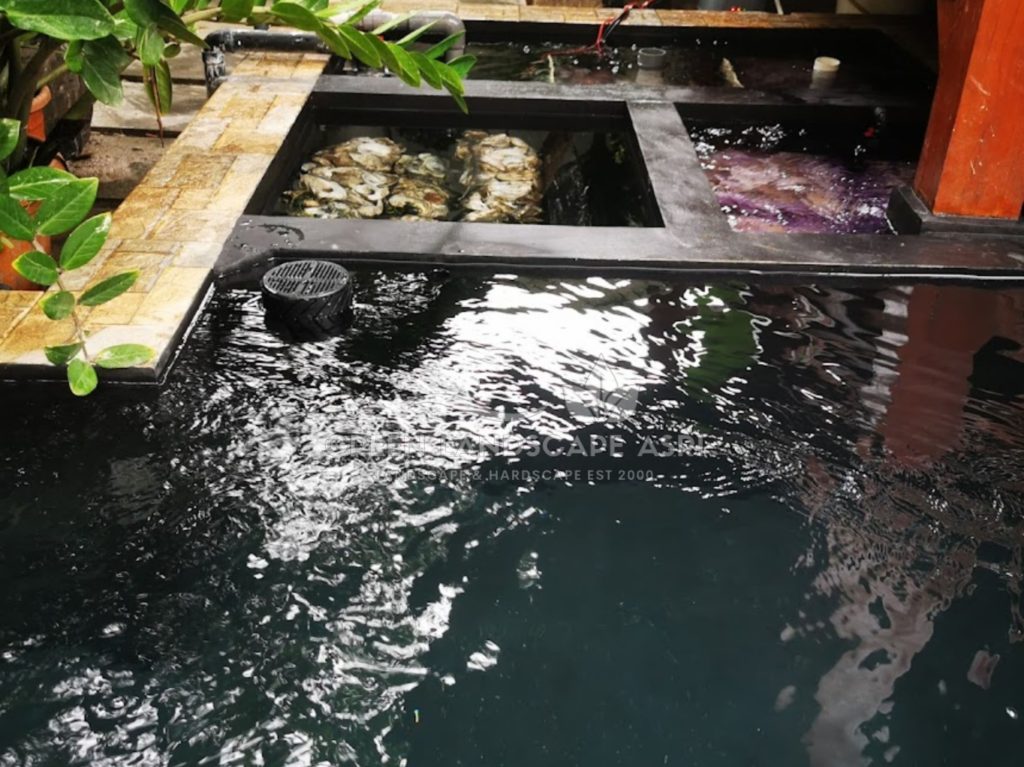 Jasa Pembuatan Kolam Minimalis