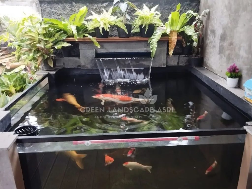 Kontraktor Kolam Koi