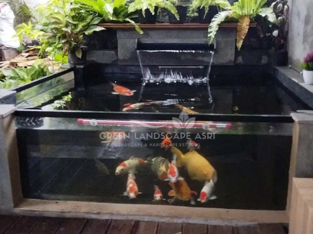 Kontraktor Kolam Koi