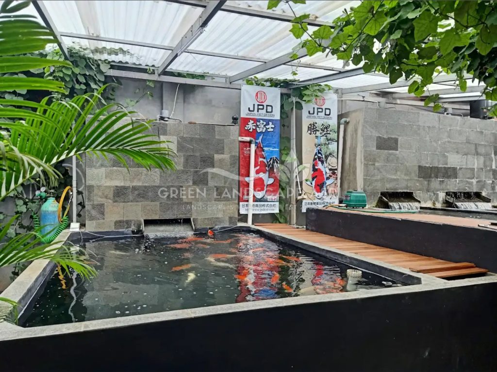 Kontraktor Kolam Koi