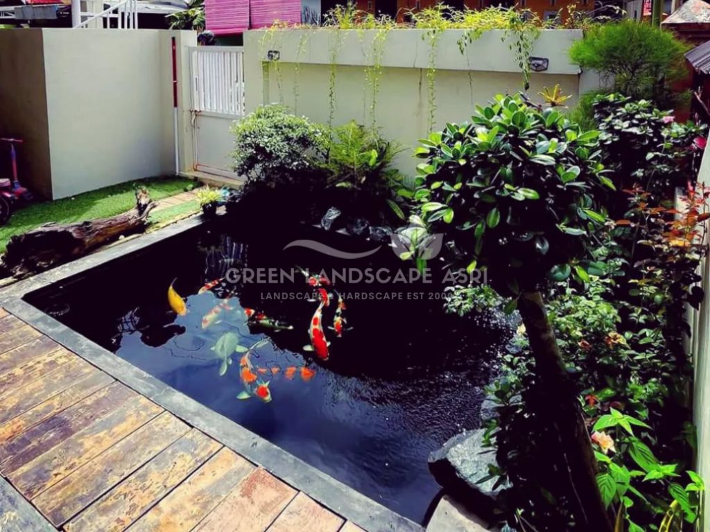 Kontraktor Kolam Koi