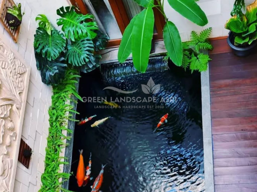 Kontraktor Kolam Koi