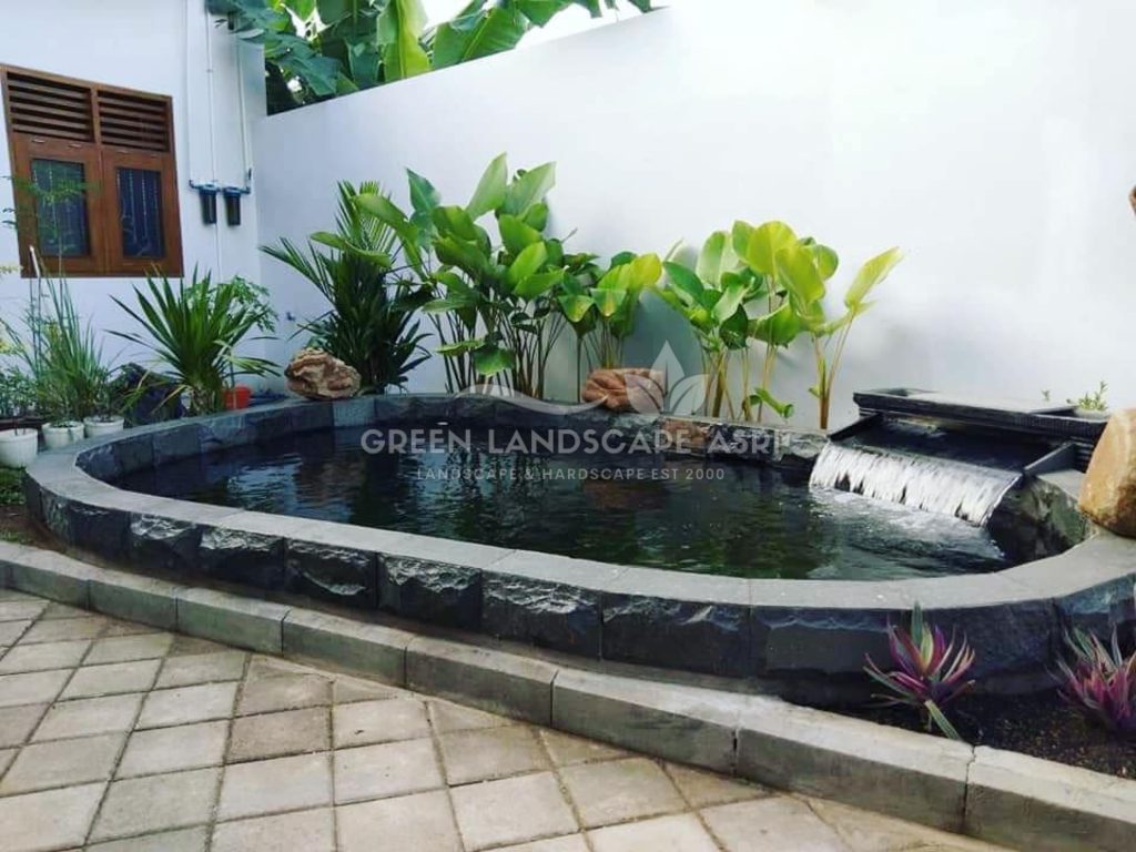 Kontraktor Kolam Koi