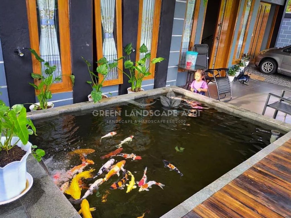 Kontraktor Kolam Koi
