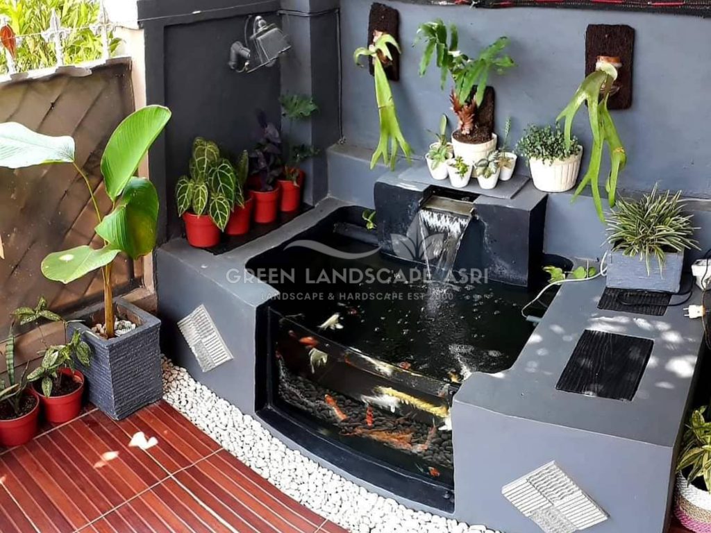 Jasa Desain Kolam Koi Minimalis