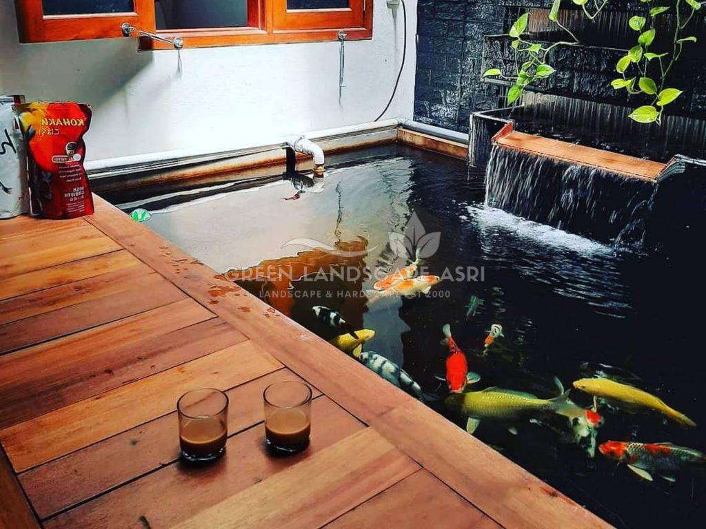 Jasa Desain Kolam Koi Minimalis