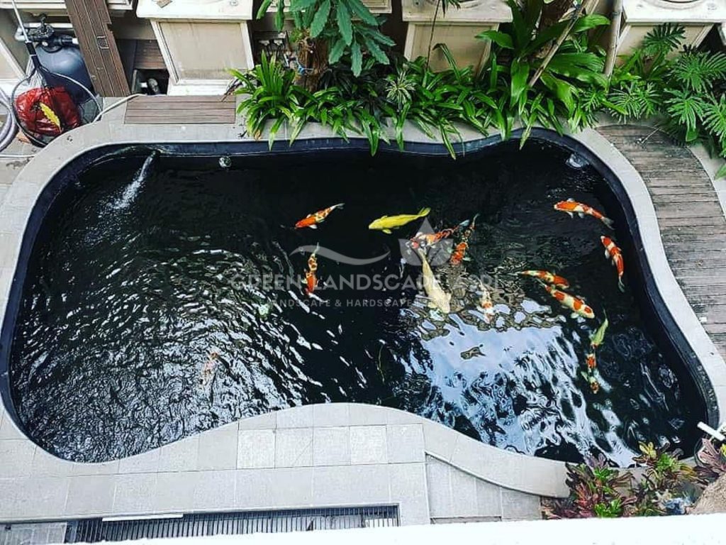 Jasa Desain Kolam Koi Minimalis
