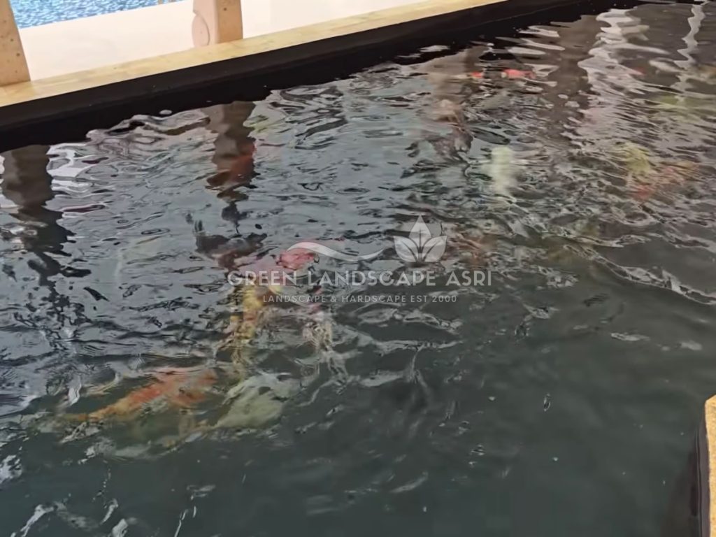 Jasa Pembuatan Kolam Koi