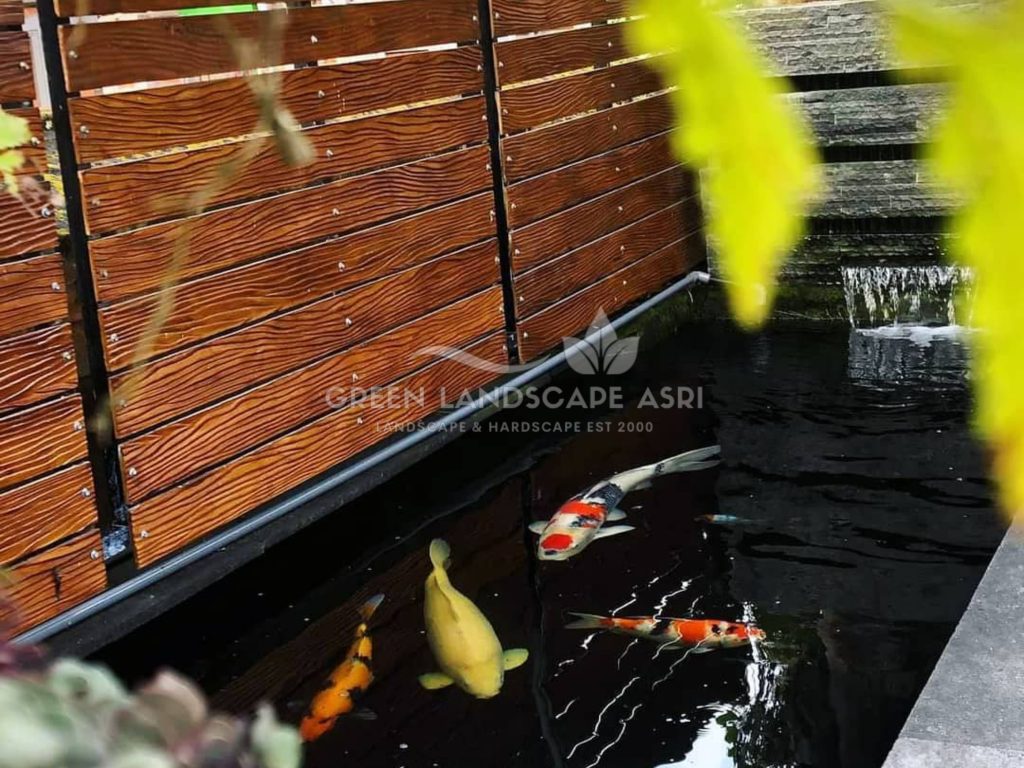 Jasa Desain Kolam Koi Minimalis