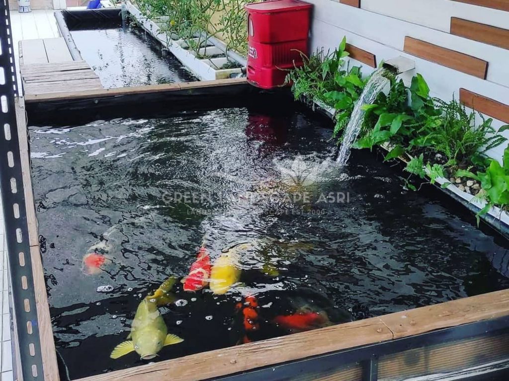 Jasa Desain Kolam Koi Minimalis