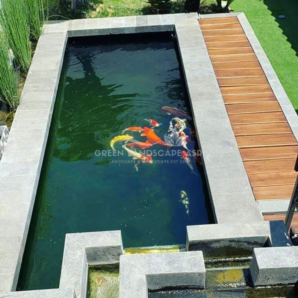 Jasa Desain Kolam Koi Minimalis