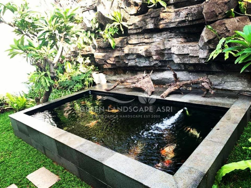 Tukang Kolam Ikan Minimalis
