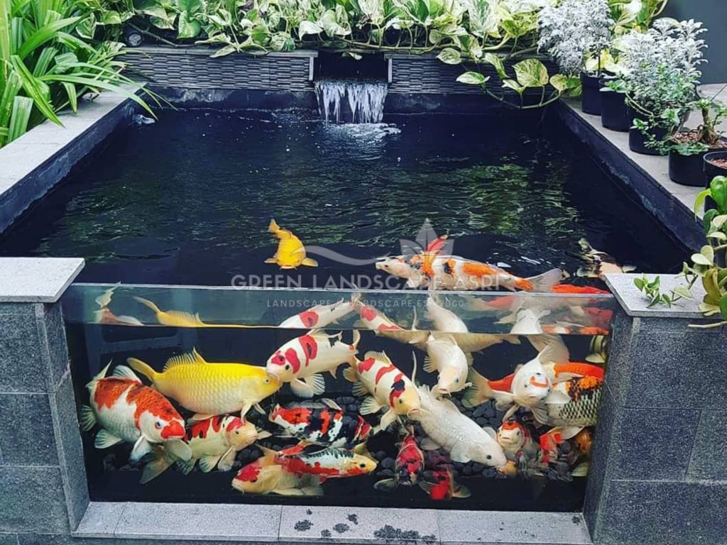 Tukang Kolam Ikan Minimalis