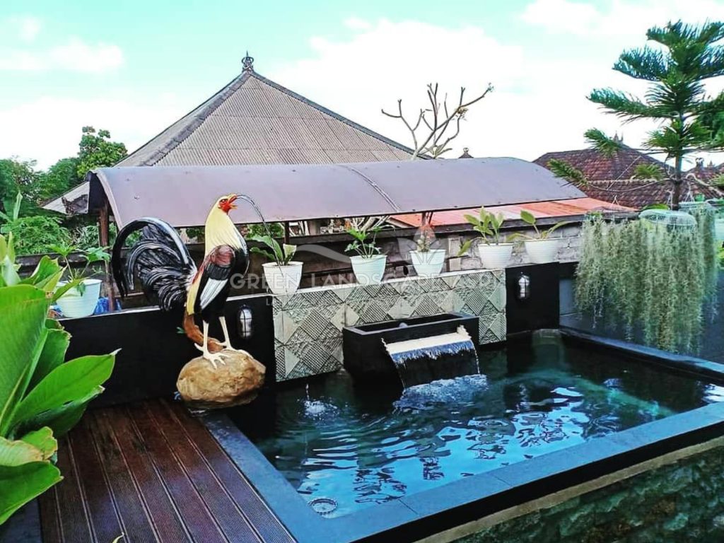 Tukang Kolam Ikan Minimalis