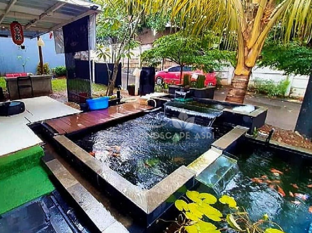 Tukang Kolam Ikan Minimalis