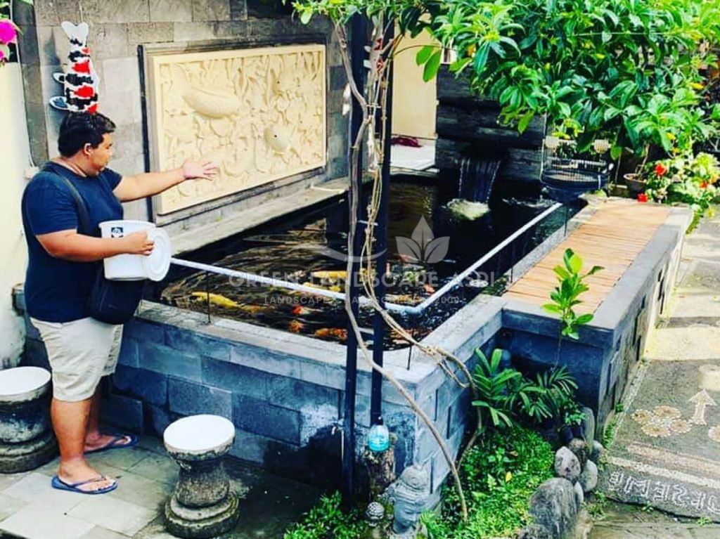 Tukang Kolam Ikan Minimalis