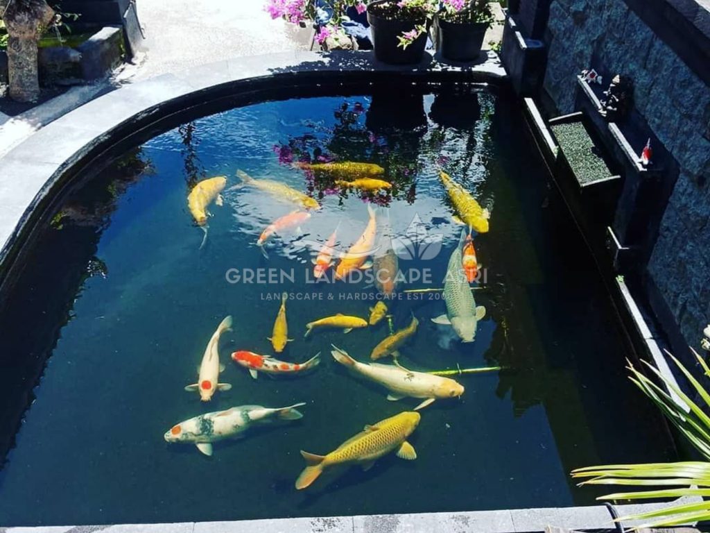 Tukang Kolam Ikan Minimalis