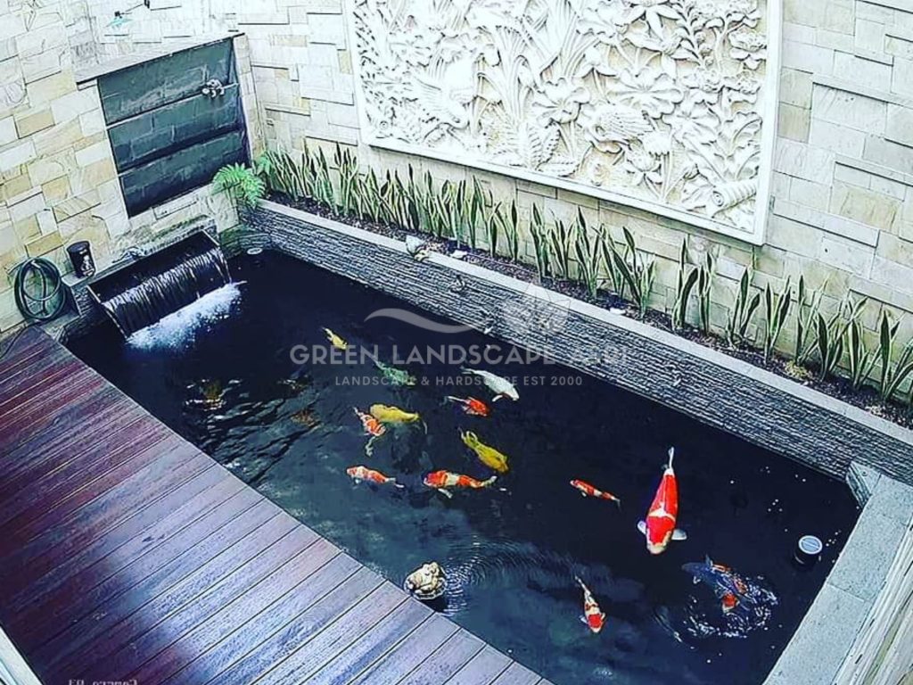Tukang Kolam Ikan Minimalis