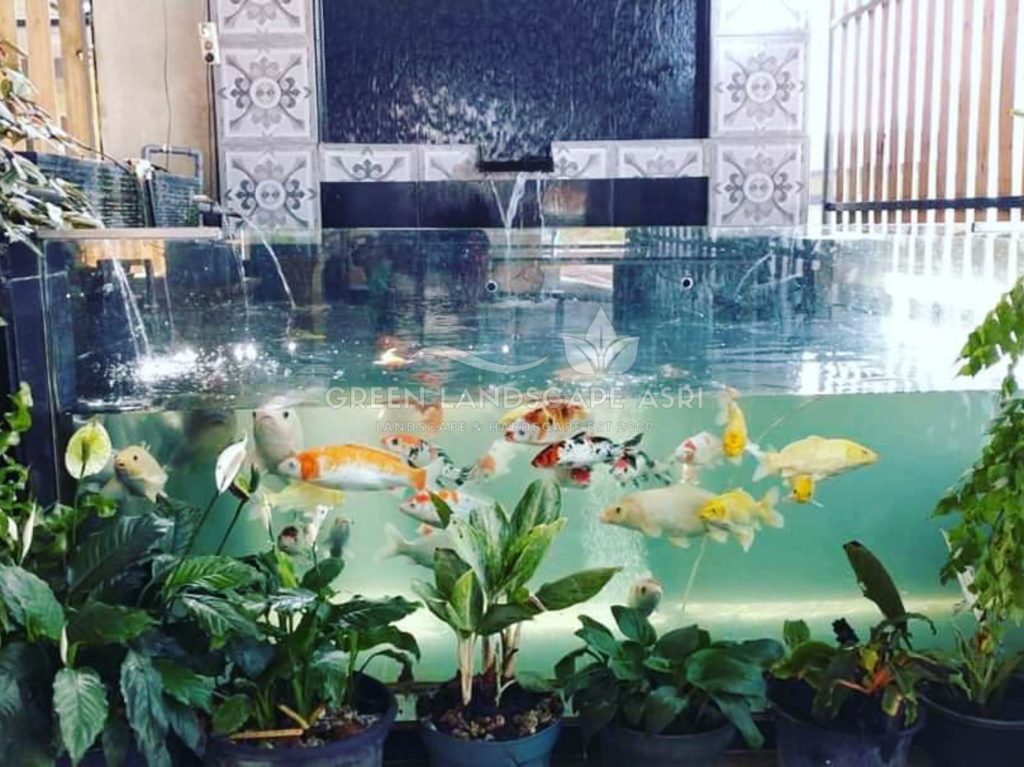 Tukang Kolam Ikan Minimalis