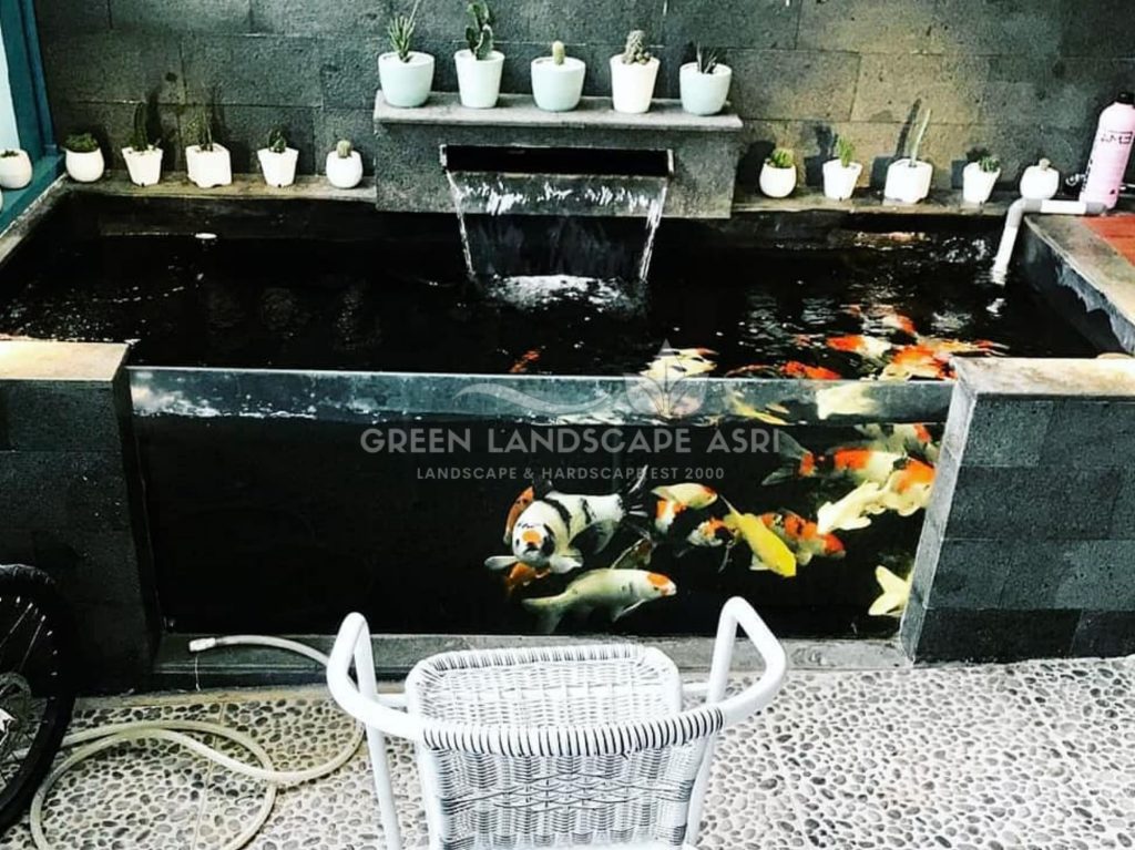 Tukang Kolam Ikan Minimalis