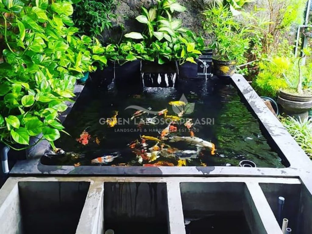 Tukang Kolam Ikan Minimalis
