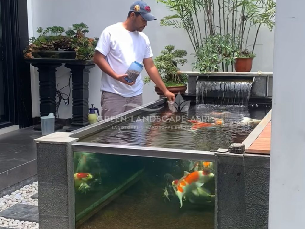 Tukang Kolam Ikan Minimalis
