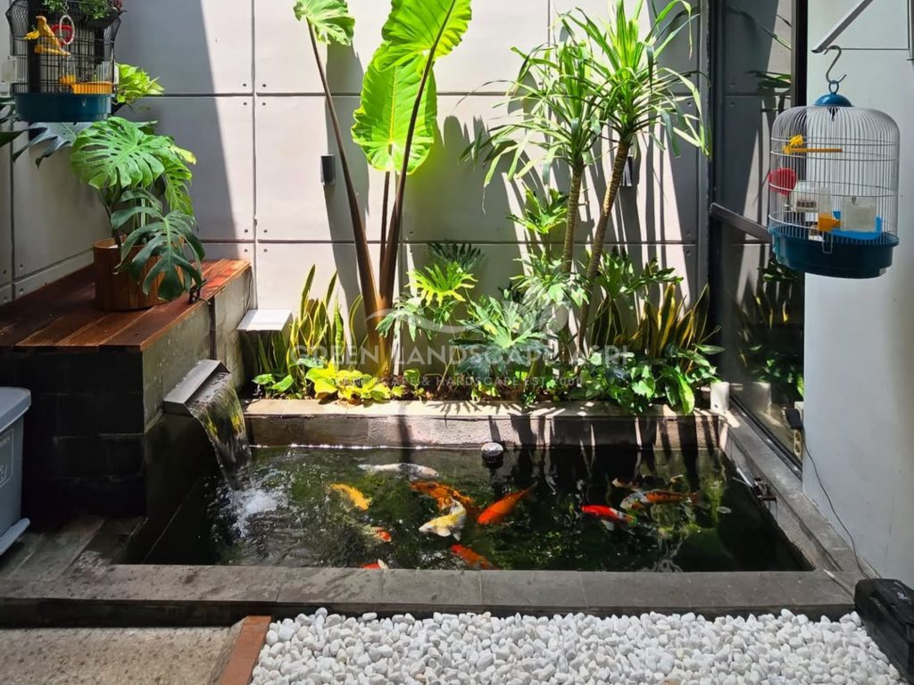 Tukang Kolam Ikan Minimalis