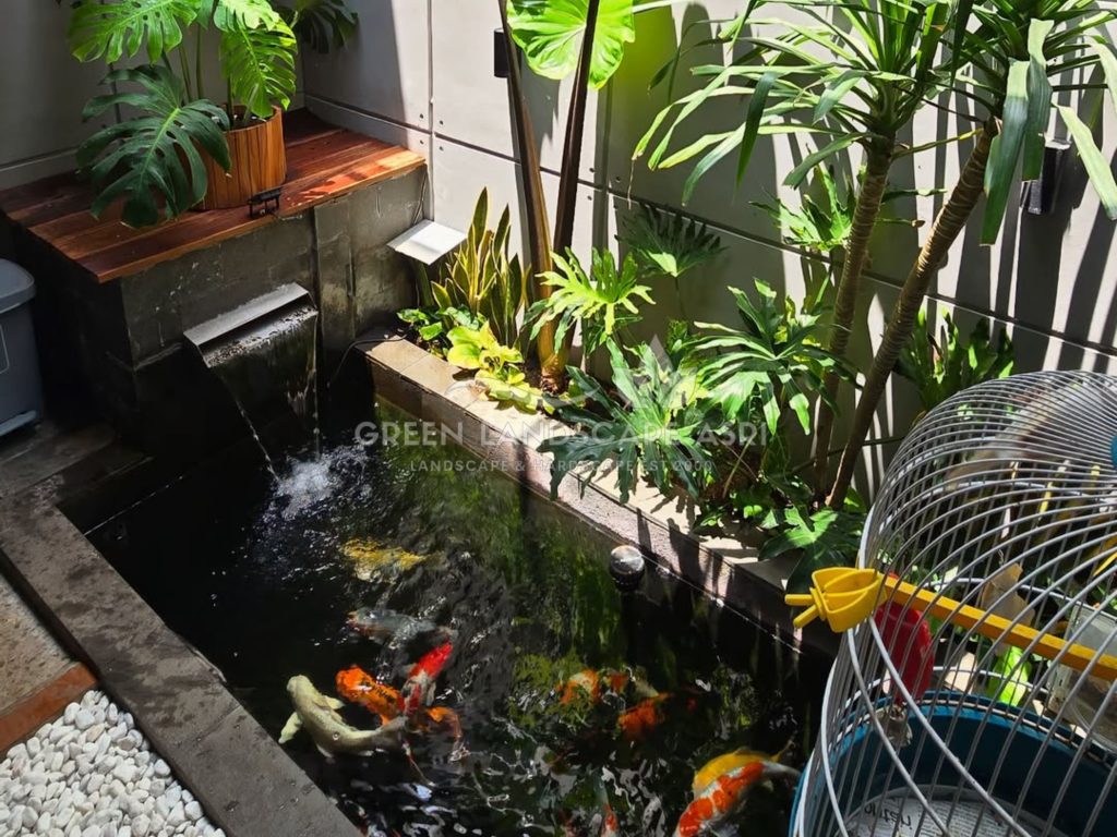 Tukang Kolam Ikan Minimalis